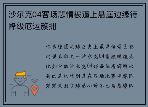 沙尔克04客场悲情被逼上悬崖边缘待降级厄运簇拥